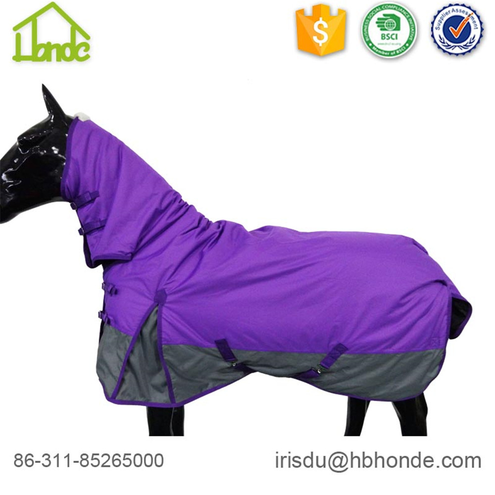 tapis de cheval violet purple horse rug