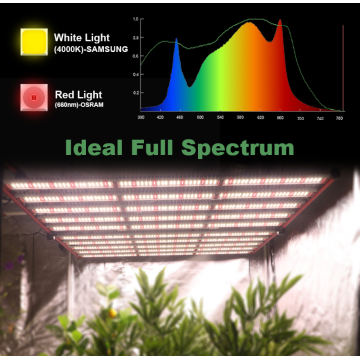 Lipat spektrum penuh LM301H LED Grow Lights 1000W