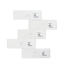 Mitosis Slides Set - Onion Root Tip 5pcs - FRT1001 - Plant Genetics and Biology