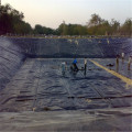 0,75 мм Virgin Black HDPE Frims Farming Geomembrane