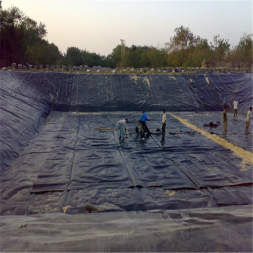 Geomembran pertanian udang hdpe hdpe virgin virgin