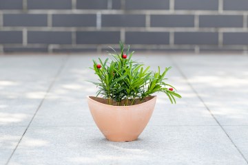 Whimsical Curved Novelty Planter