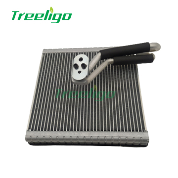 VW AC Evaporator Assembly Unit