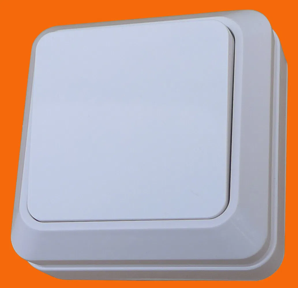 Supply European-Style Wall Switches for Open and Control