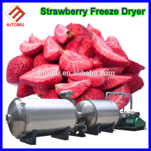 Food Freeze Dryer Machine For Vegetables, Fruits, Meet, Fish, Milk
