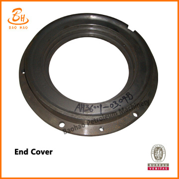 Tiêu chuẩn API Pinion Shaft End Cover