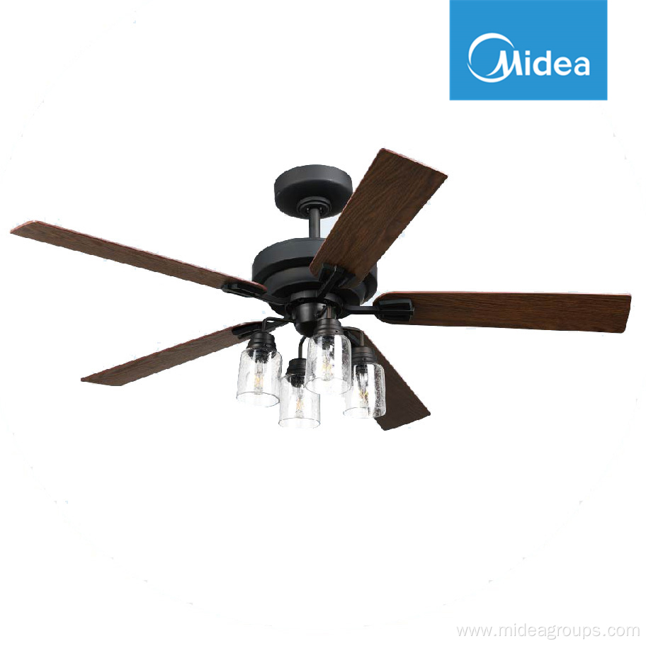 Ceiling Fan