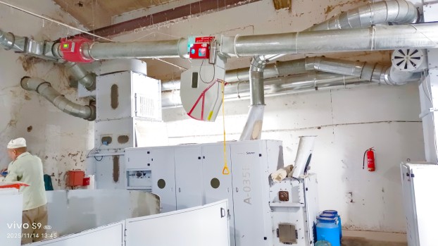 nombre predeterminado default name