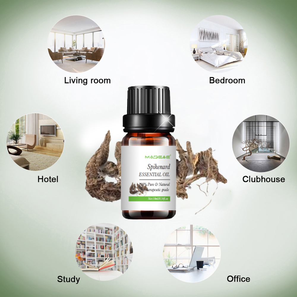 Spikenard Spikenard Essential Oil Healthcare Cosmetic