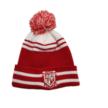 2019 new fashion acrylic custom  embroidery logo knitted hat  with a pompom