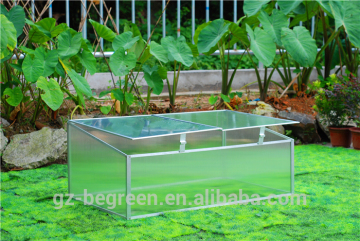 plastic cover mini indoor vegetable greenhouse kit