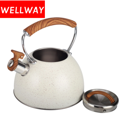 Modern colorful stainless steel mouth kettle