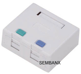 2 Port Surface Mount Box?