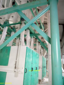 100 tons floor type wheat flour processing machinery