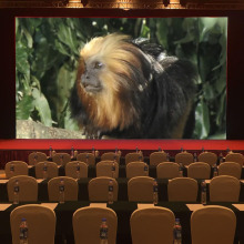 Digital Signage Outdoor Advertising Software