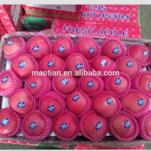 Yantai Fresh Red Fuji Apple
