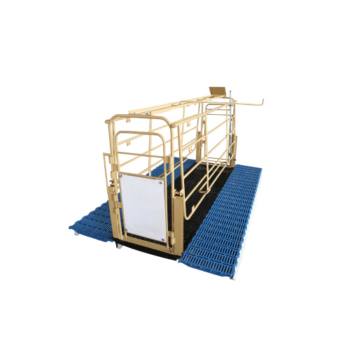 Round Edge Auto Welding Farrowing Stall For Pig