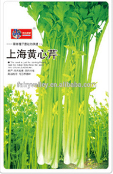 High Quality Celery Seed For Planting-Shanghai Yellow Green Celery