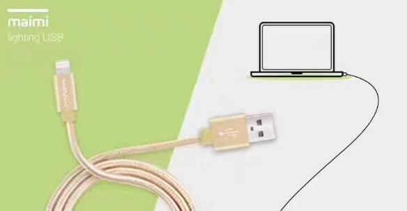 long apple charging cord