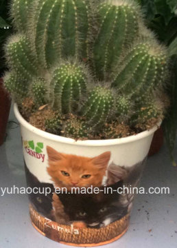 Mini Flower Pot Colorful Flower Planter