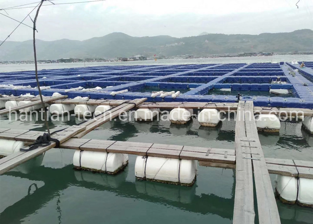 Economía rápida y fácil de ensamblar bloques flotantes de pontones flotantes HDPE para muelle de botes