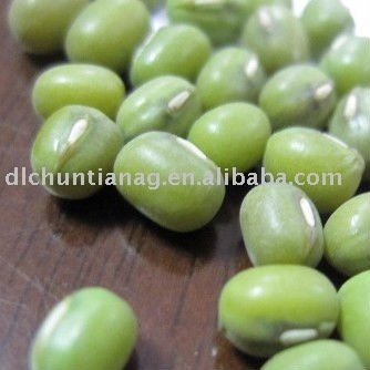 Organic Green Mung Bean