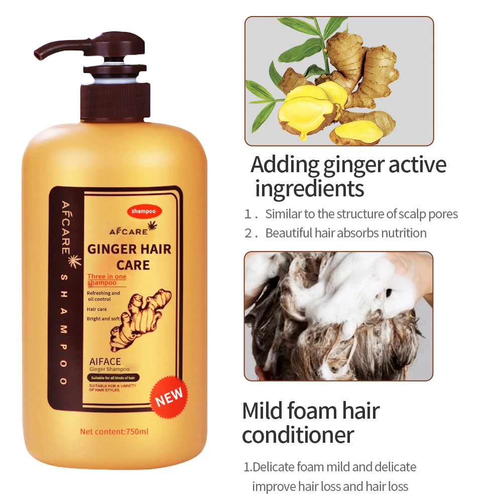 Private Label Anti Hair Loss Nature Organic Ginger Thickening Growth Shampoo and Conditioner Kids Organic Shampoo