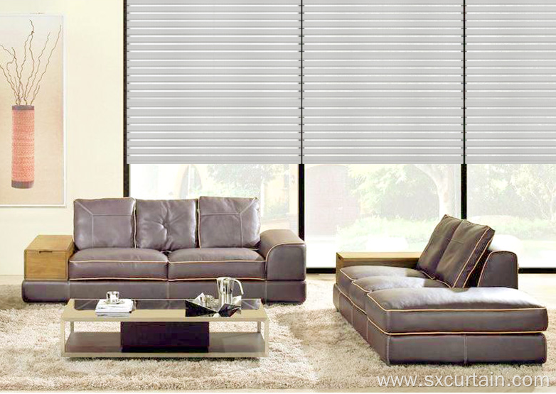 Zebra Roller Curtain Blind Gauze Shadings