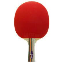 2 star Sanwei Table Tennis Racket/ Table Tennis paddle 298