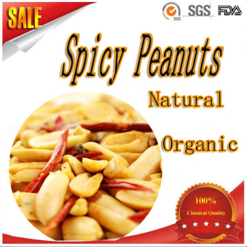 Roasted Peanuts/salted peanuts/spicy peanuts