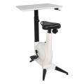 Height Adjustable Exercise Office Bike Desk