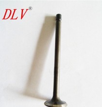 Chana Auto 462 engine parts valve