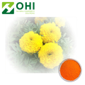 Calendula Officinalis Extract Calendula 5% Lutein Xanthophyll