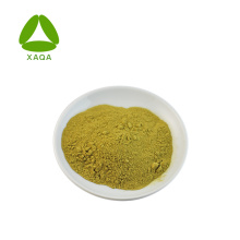 Loquat Leaf Extrait acide ursolique 50% Prix de poudre