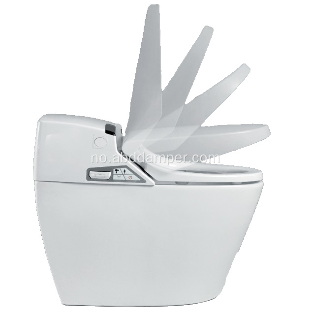 Rotary Demper Vane Demper Application on Toilet Seat