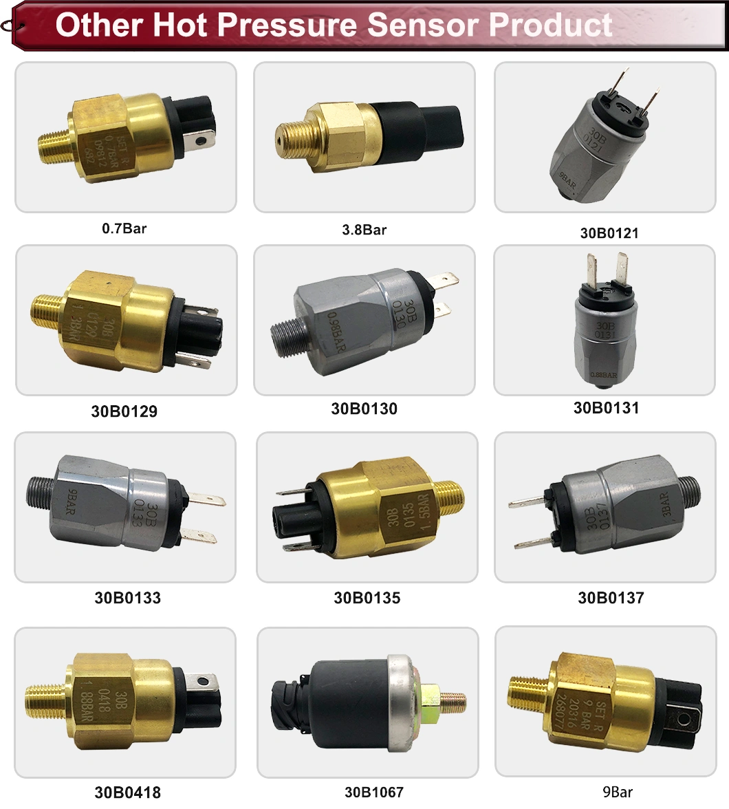 in Stock 30b0133 30b0135 30b0137 30b0418 30b1067 Loader Parts Oil Pressure Sensor for Sale