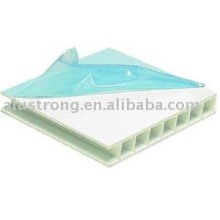 aluminum pp hollow core panel