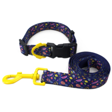 2021 Custom Polyester Dog Collars and Leashes