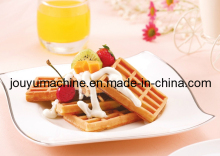 New Waffle Biscuit Plant