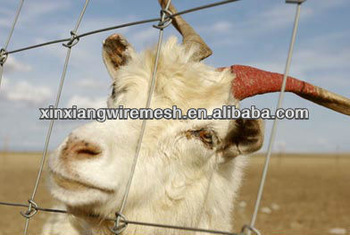 Cattle Fence/ Cow Fence/Goat Fence/Sheep Fence/ Horse Fence/Deer Fence