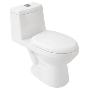 Badkamer WC Sifonisch toilet uit één stuk met watercloset