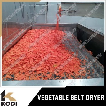 Stainless Steel Conveyor Mesh Belt Dryer for Food/Vegetable/Fruit