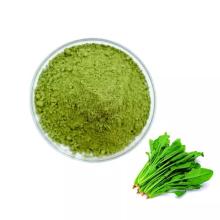 Spinach Powder for sale