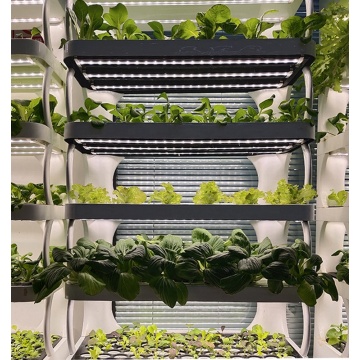 Spectrum Smart Vertical Hydoor Hydroponic Growing System