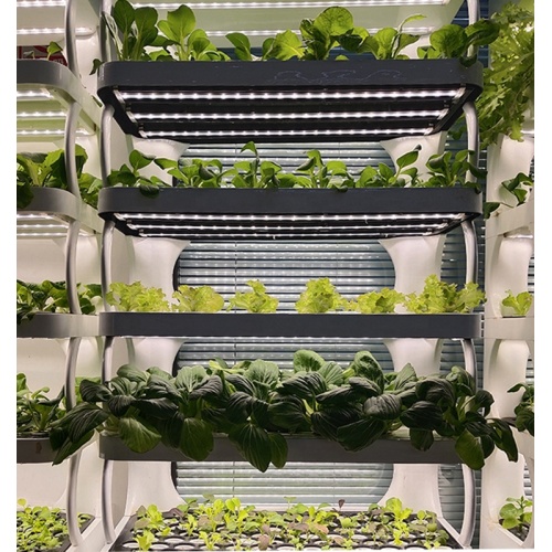 Skyplant Hydroponics System Ev için dikey yetiştirme sistemi