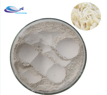 Irish sea moss powder capsule bladderwrack powder capsule