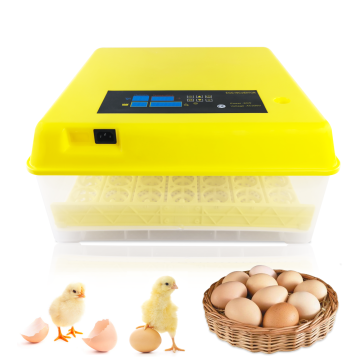 Duck and Chicken Egg Incubator Trays for Poultry Farming