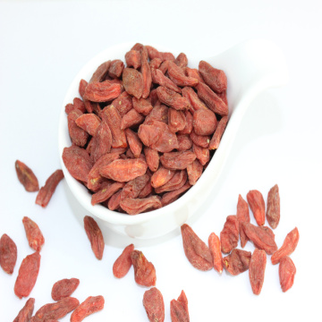 High nutrition  Chinese Herb Medicine goji berry