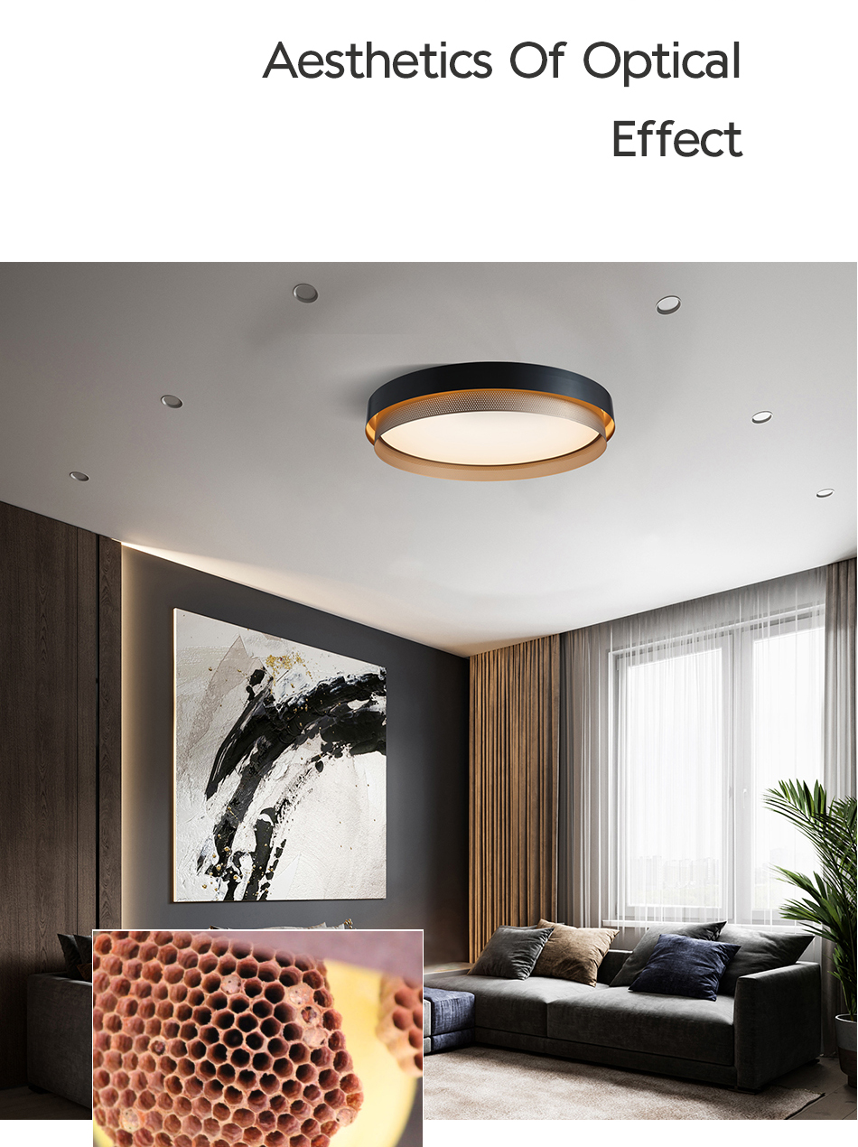 Minimalist Ceiling Lamp Ceiling Light 0355 2