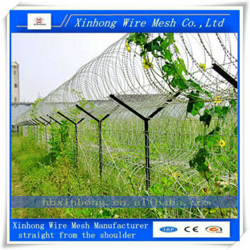 barbed wire mesh/ barbed wire coil